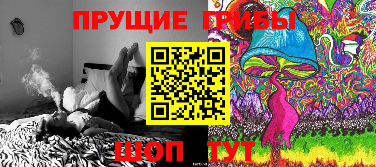 Галлюциногенные грибы Cubensis  Псилоцибиновые грибы прущие грибы  Вход с VPN  Ликино-Дулёво 